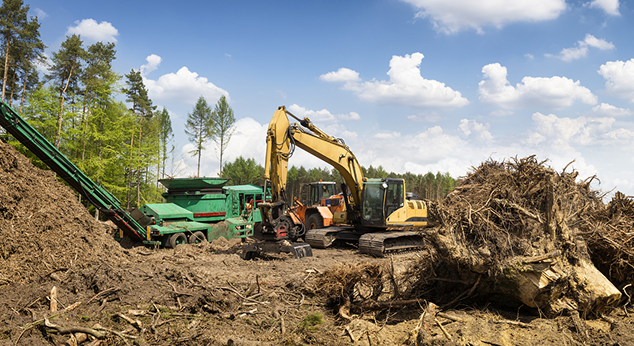 Professional Tree Services