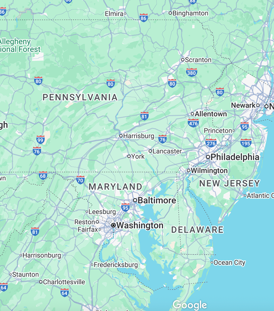 Tree Removal Experts