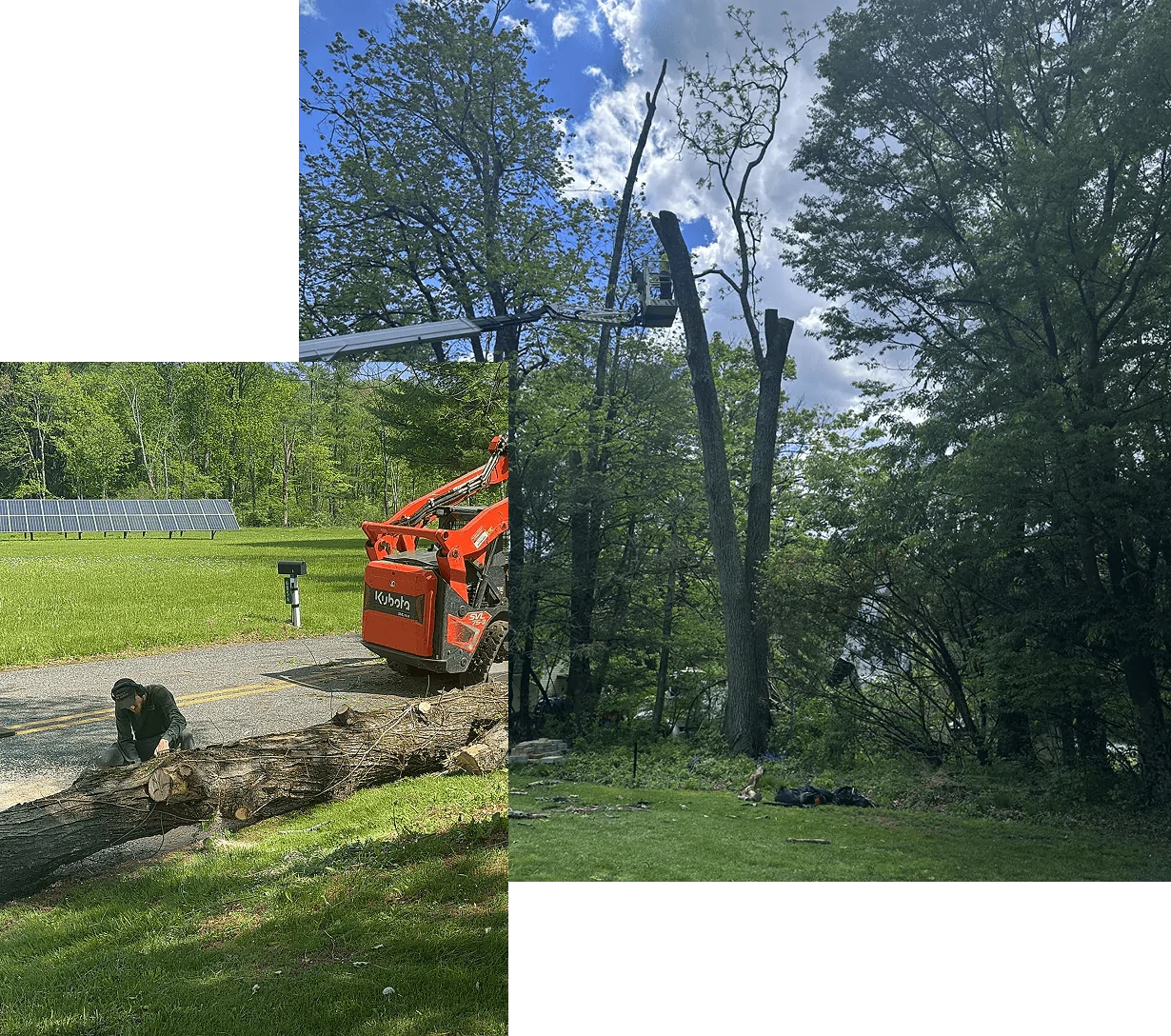 Brush Clearing Services