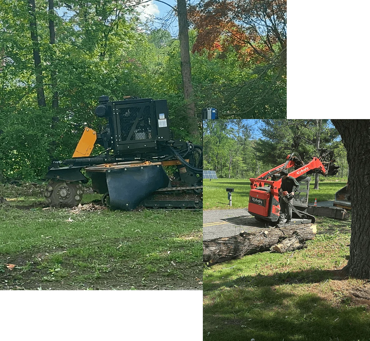 Brush Control Services