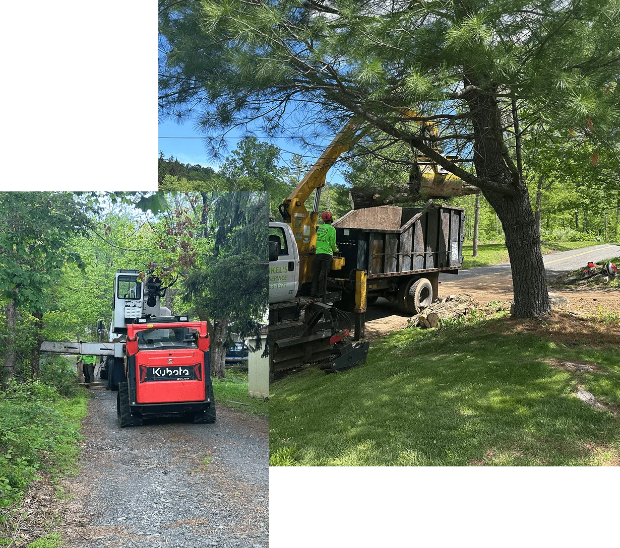 Local Brush Clearing Services in Berks County, PA 1