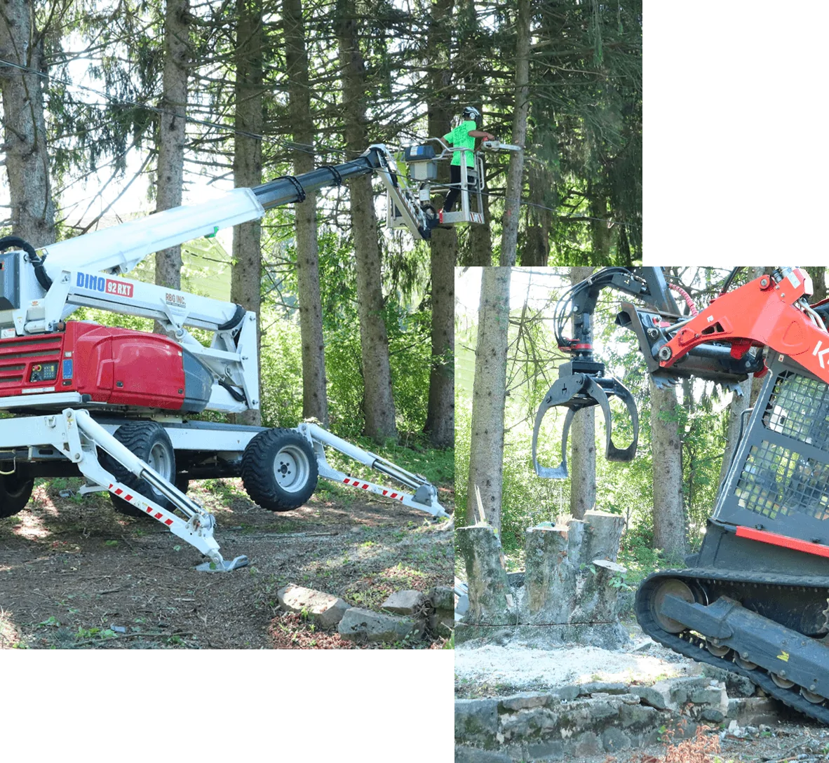24 hour emergency tree service