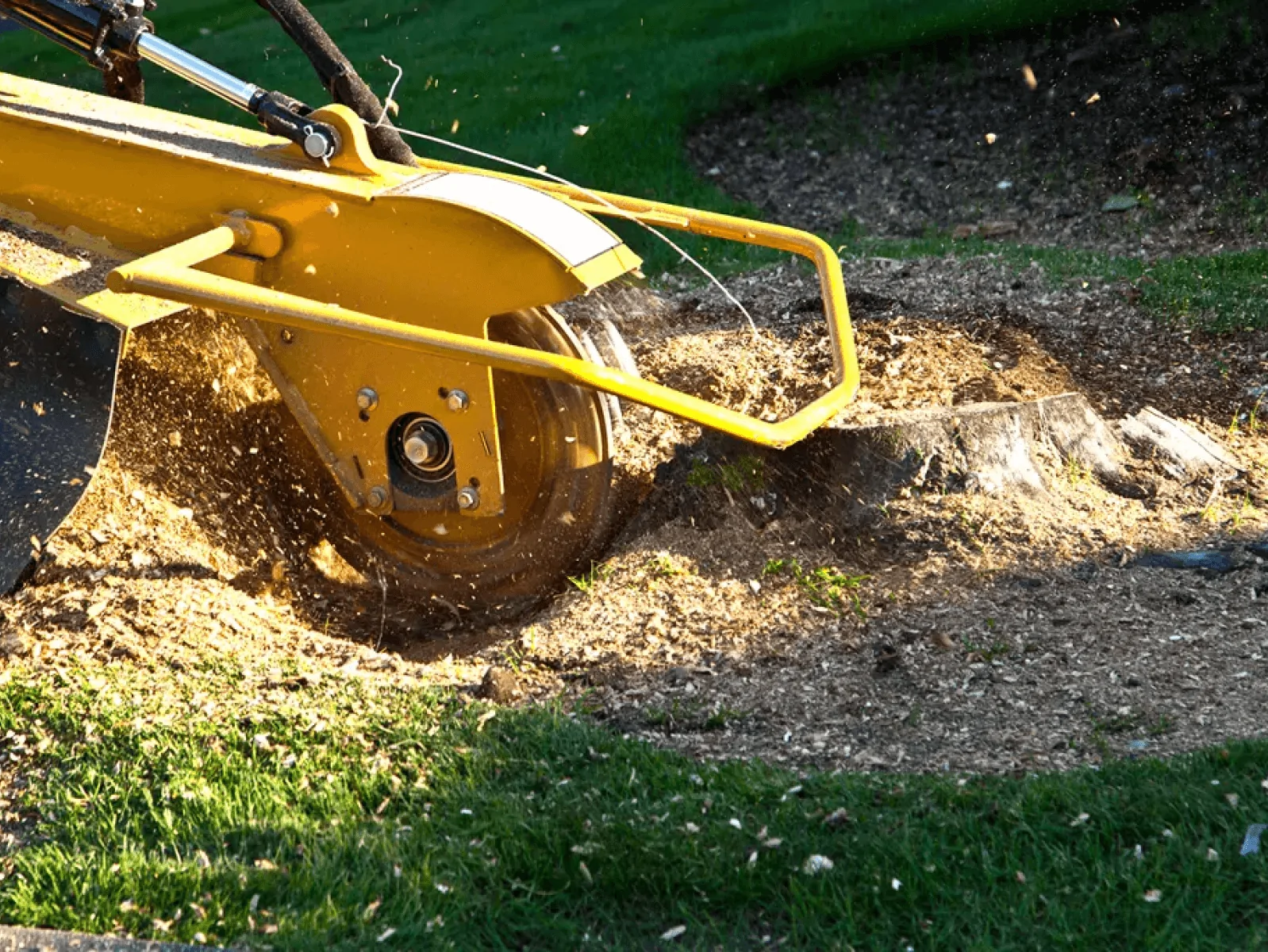 Barto PA Stump Grinding Services