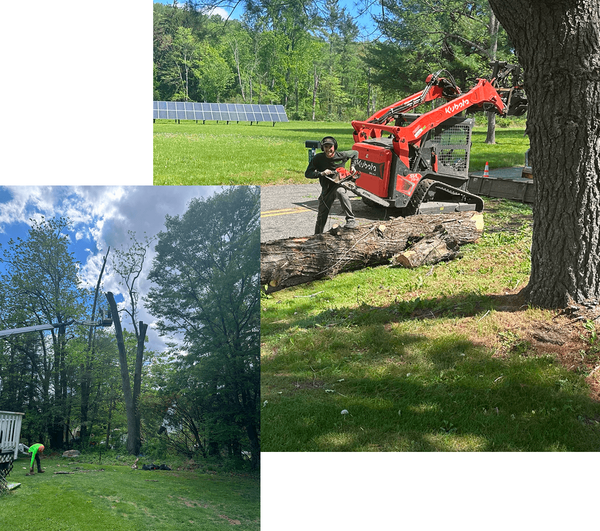 Emergency Tree Services