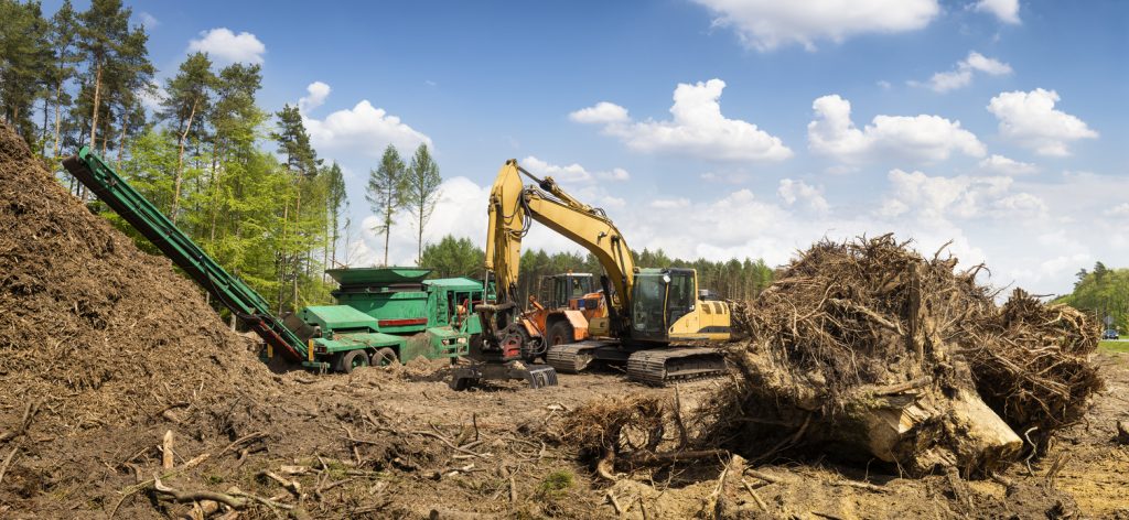 Residential Tree Care Company