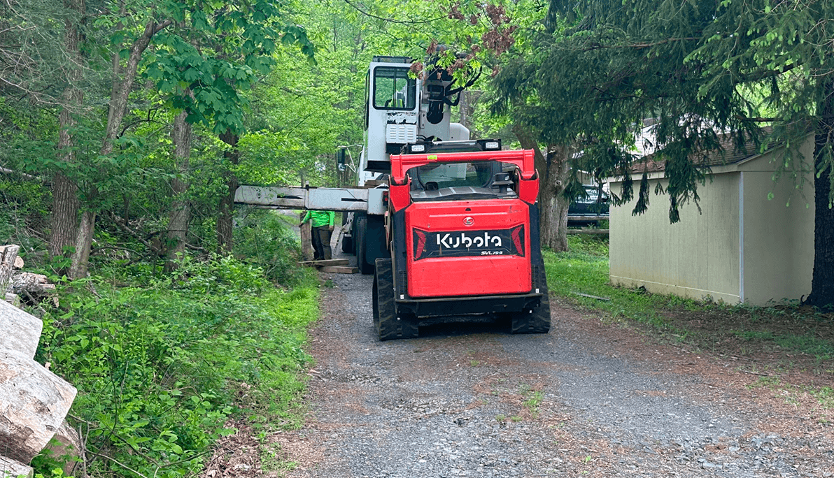 Storm Damage Tree Experts