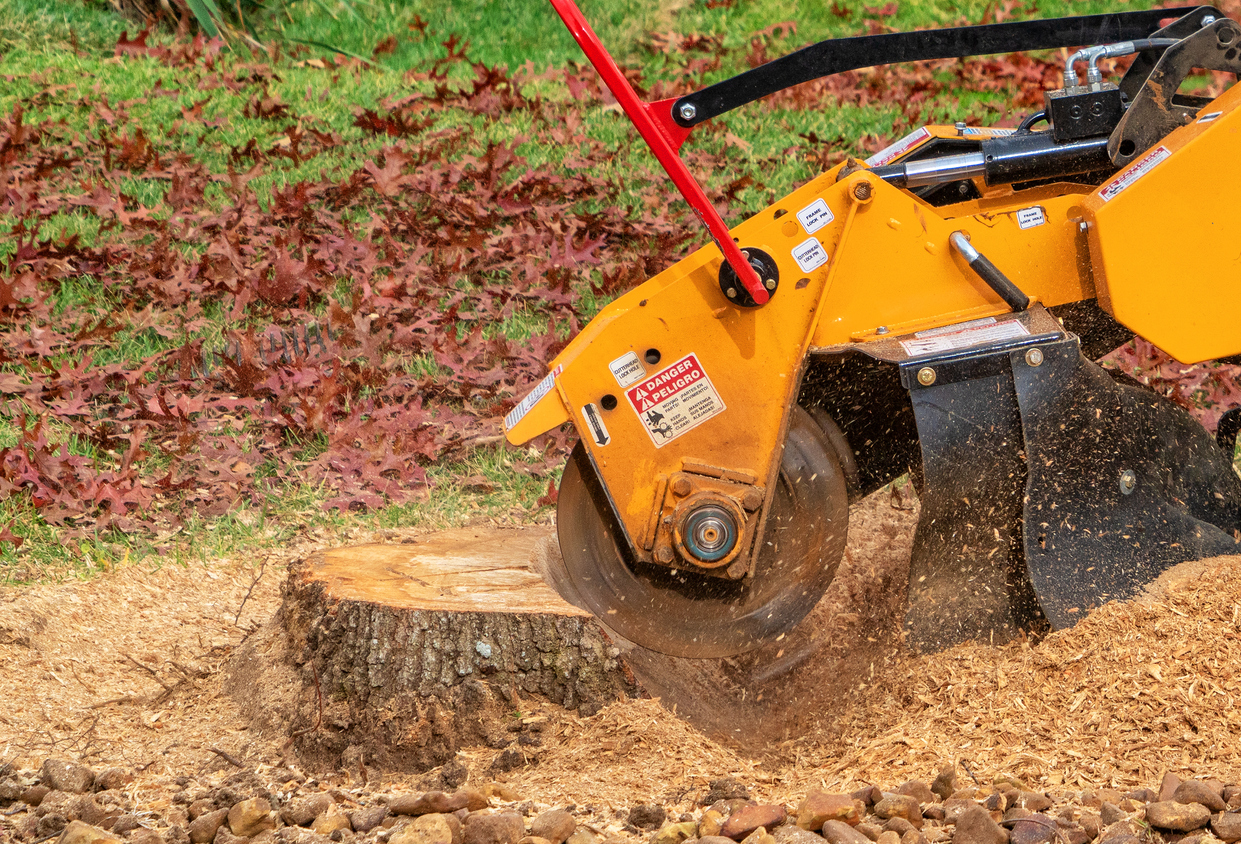 home tree service