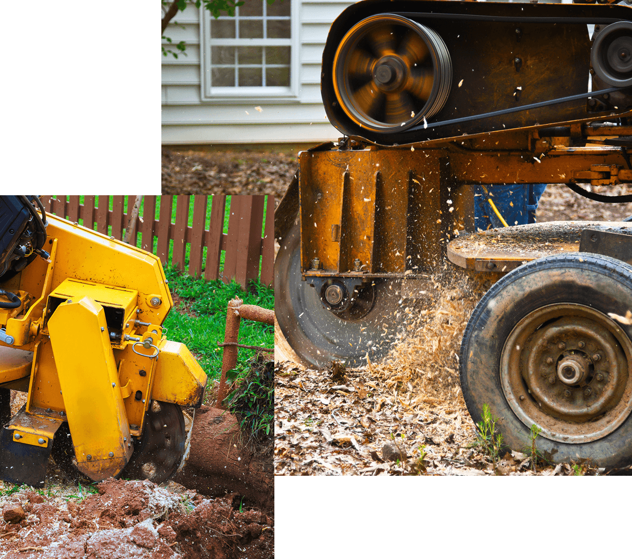 Stump Grinding Company