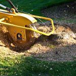 Understanding Stump Grinding Cost: 2026 Pricing Guide for Berks County Homeowners