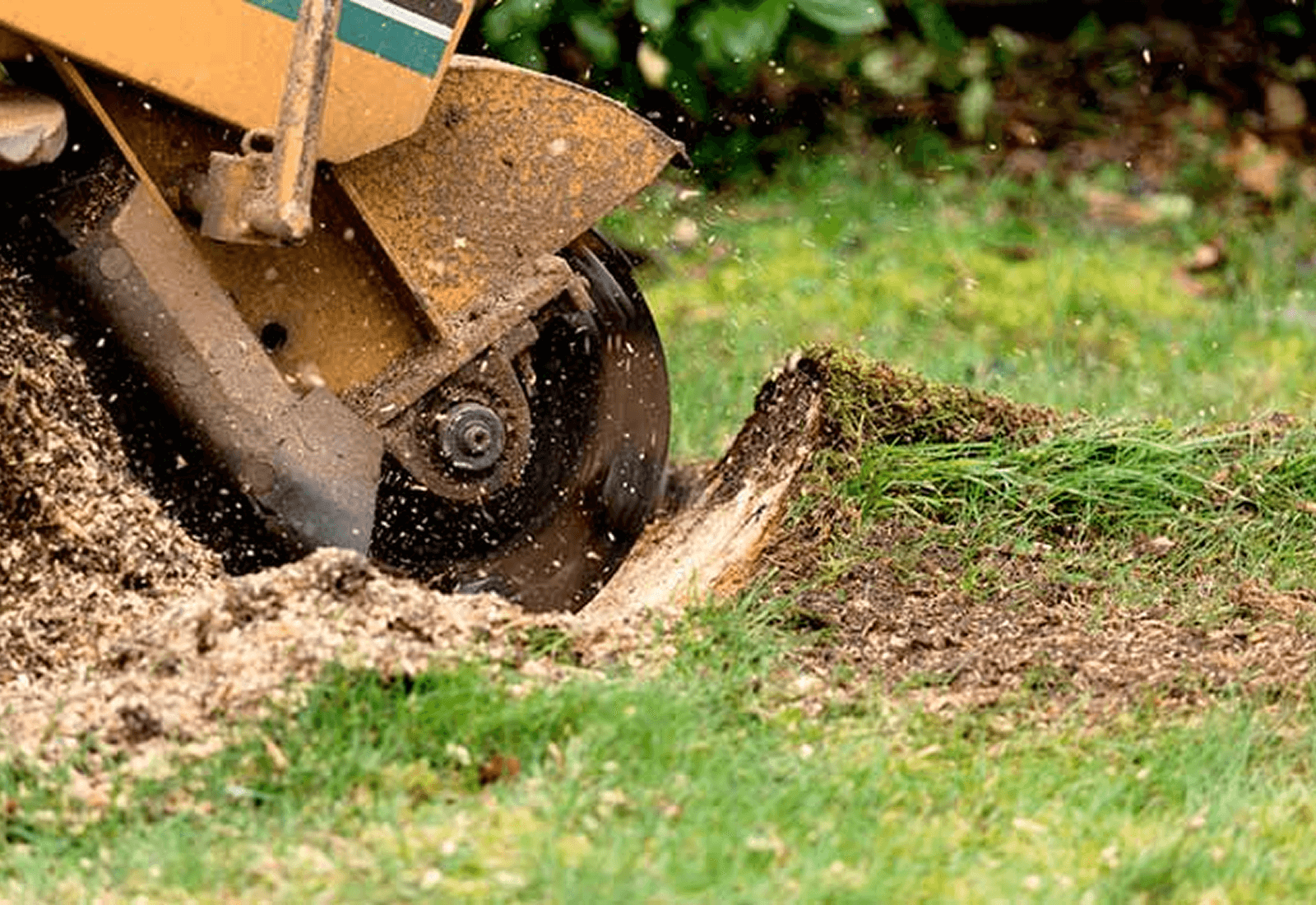 tree care services in Quakertown PA